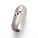 304 Stainless Steel Locking Tube Magnetic Clasps STAS-F194-14P-1