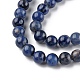 Natural Sodalite Beads Strands G-G0003-C01-C-4