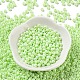 Baking Paint Glass Seed Beads SEED-H002-I-A523-2