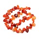 Natural Agate Chip Bead Strands G-M204-32-2