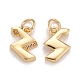 Brass Micro Pave Clear Cubic Zirconia Charms KK-Z023-15G-2