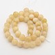 Natural Sunstone Beads Strands G-E250-10-10mm-2