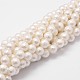 Chapelets de perles en coquille BSHE-L029-01-6mm-1