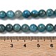 Natürliche Apatit Perlen Stränge&nbsp;G-F816-A01-01A-5