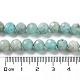 Chapelets de perles en amazonite naturelle G-J400-E11-07AB-5