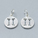 925 Sterling Silver Charms STER-T002-44S-03-2