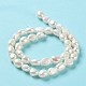 Natural Cultured Freshwater Pearl Beads Strands PEAR-Z002-05-3