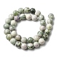 Natürliche Frieden Jade Perlen Stränge G-E598-04A-2