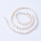 Natural Cultured Freshwater Pearl Beads Strands X-PEAR-S010-04-2
