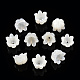 Bouchons de perles de coquillage blanc naturel SSHEL-N032-58B-2