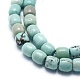 Natural Magnesite Beads Strands G-F578-06-3