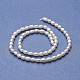 Natural Cultured Freshwater Pearl Beads Strands PEAR-P060-11-2