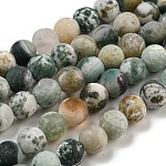 Arbre naturel agate agate dépoli perles de pierres précieuses rondes brins, 6mm, Trou: 1mm, Environ 64 pcs/chapelet, 15.5 pouce