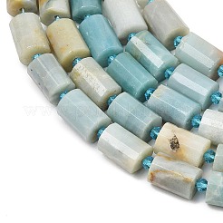 Натуральный цветок амазонитовые бусины пряди&nbsp;G-G453-E05-10x14mm