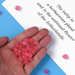 Прозрачные акриловые бусины MACR-S373-95-B04