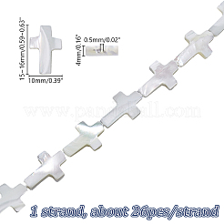 1 нить натуральных бусин из ракушек трохид/трохус&nbsp;SSHEL-GA0001-17