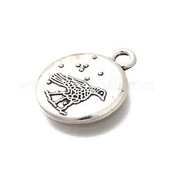 Сплавочные подвески тибетского стиля PALLOY-D291-16AS