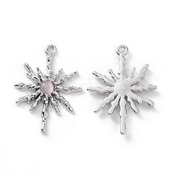 Подвески для кошачьего глаза из сплава PALLOY-D007-08P-B