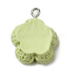 Подвески из непрозрачной смолы&nbsp;RESI-L038-01P-06