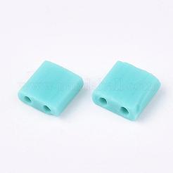 2-луночное матовое стекло бисер SEED-S023-09H