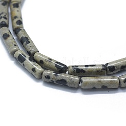 Природные яшмы далматин бисер нитей G-F631-D23