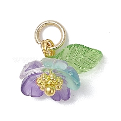 Подвески из прозрачной смолы и акрила&nbsp;PALLOY-JF04358