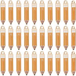 40 шт. Подвески из сплава с эмалью&nbsp;FIND-SC0015-81