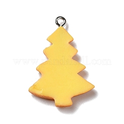 Pendentifs en résine opaque&nbsp;RESI-D055-125P