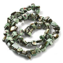 Окрашенные нити натуральных бусин-ракушек трохуса BSHE-Z006-01A