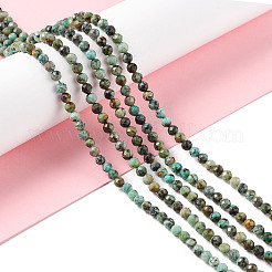 Natürliche afrikanische türkis (jasper) perlen stränge&nbsp;X-G-F717-01