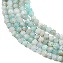 Amazonite naturale fili di perle&nbsp;G-P279-42-3mm