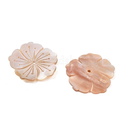 Perline intagliate in conchiglia d'acqua dolce naturale&nbsp;SH-CBACA76-07
