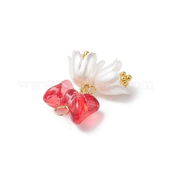 Прозрачный лак окрашенные стеклянные подвески PALLOY-JF04500