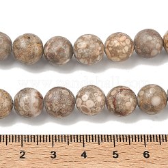 Natürliche Maifanit / Maifan Stein Perlen Stränge&nbsp;G-R345-10mm-40-1