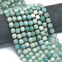 Нити бусин из натурального цветка амазонита&nbsp;LS-G-K389-A04-01