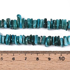 Нити бусин из натуральных пресноводных ракушек SHEL-T020-40D