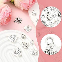 15 pièces 15 styles pendentifs en alliage de style tibétain&nbsp;FIND-YW0011-88