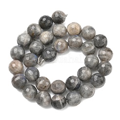 Природные лабрадорита бисер нитей G-L642-F07-12mm