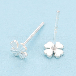 925 Orecchini in argento&nbsp;STER-N017-12A-S