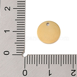 Breloques en acier inoxydable 304&nbsp;STAS-P377-04G-A