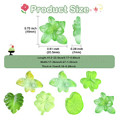 70 Stück 7 Stile Acryl-Cabochons&nbsp;MACR-CJ0002-42