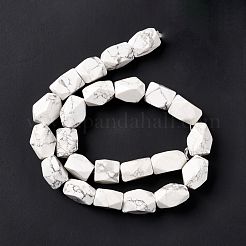 Fili di perline howlite naturale&nbsp;G-L235A-14