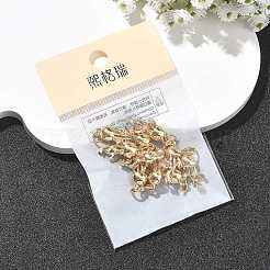Ciondoli Shegrace in ottone con micro pavé di zirconi cubici trasparenti&nbsp;XGRQ29470-392G