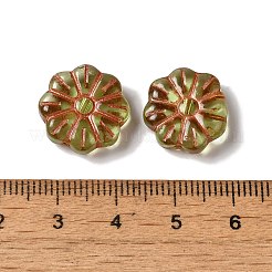 Прозрачные бусины лэмпворк&nbsp;LAMP-P065-03A-07