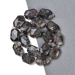 Натуральный флуоресцентный сиенитовый камень (светящийся в ультрафиолетовом свете) бусины нити G-B125-P20-01