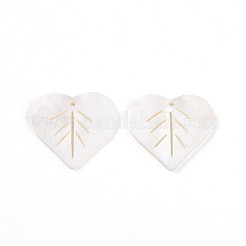 Природные подвески оболочки пресноводных&nbsp;LS-X-SHEL-R021-14