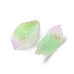 Непрозрачные акриловые подвески SACR-C006-01C