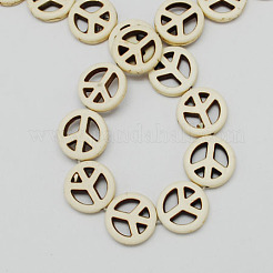 Fili di perline gemstone&nbsp;X-TURQ-S238-15mm-1