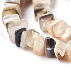 Нити бусин из пресноводных ракушек&nbsp;X-BSHE-O017-09