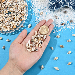 100 г натуральных ракушечных бусин BSHE-LT0001-04